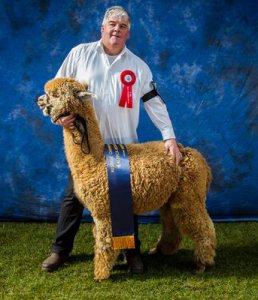 Veulen van WF Earl Grey