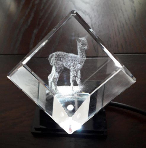 Alpaca verwerkt in 3d laser kristalglas
