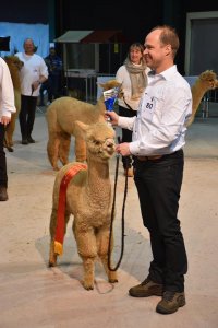 Veulen van WF Earl Grey